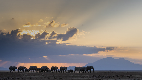 Op weg naar een plek voor de nacht