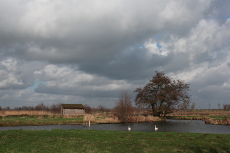 Huisje, Boompje, Beestje