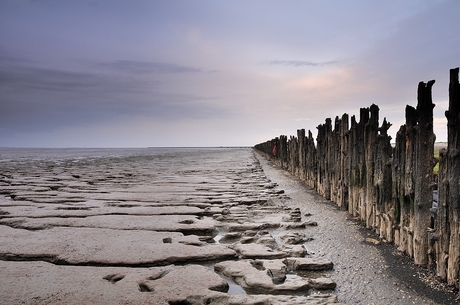 Het Wad 10