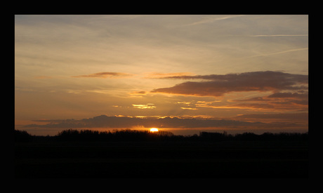 Zonsopgang in de biesbosch