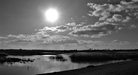 Tegen de zon in