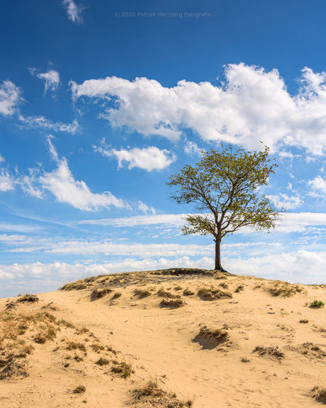 Kale Duinen