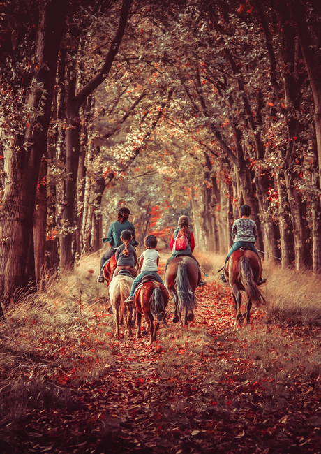 Genieten van het oneindige herfsttafereel 