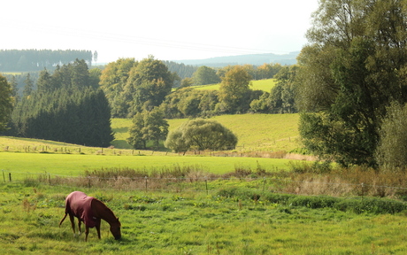 eifeler landschap