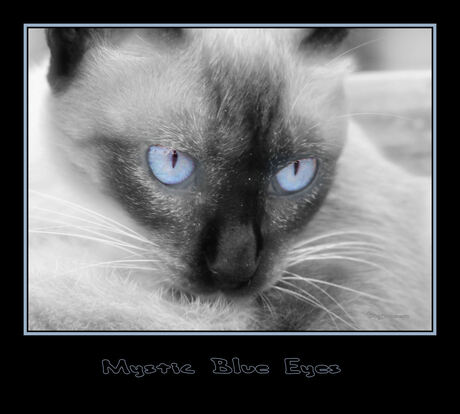 Mystic Blue Eyes