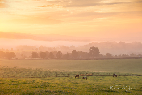 On a Misty Morning!