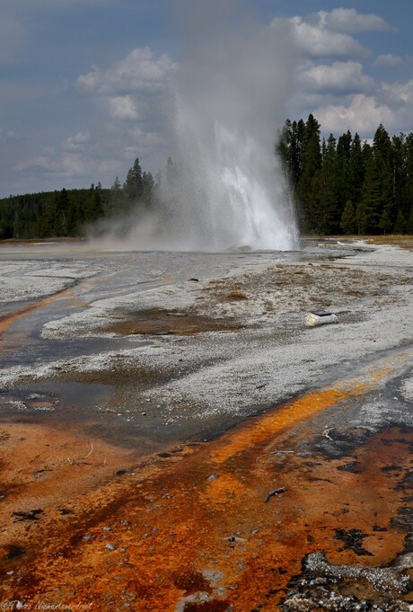 Gozalliklarni jinsiy aloqa qilish