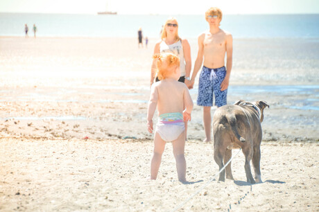 kleindochtertje met haar hond op het Harlinger strand