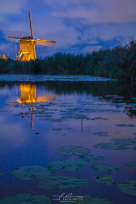 Kinderdijk