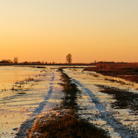 Winter in Nederland