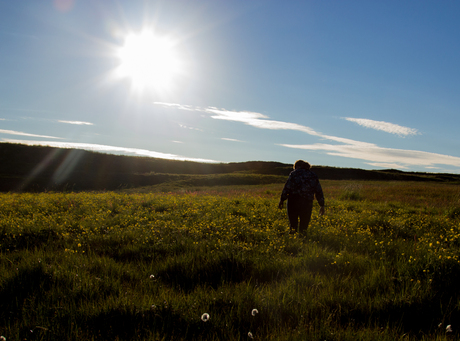 Tegenlicht IJsland