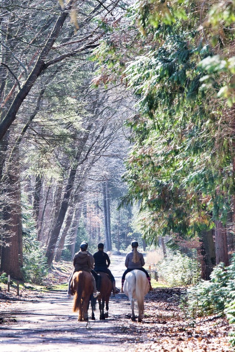 Ruiters onderweg