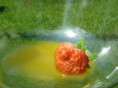 Sunning strawberry