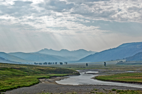 Yellowstone park