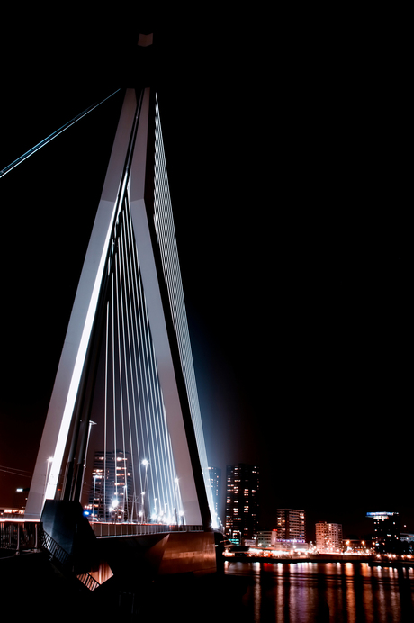 Rotterdam by night