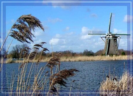 Molen