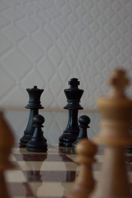 schaken, een gevecht tussen 2 koningen