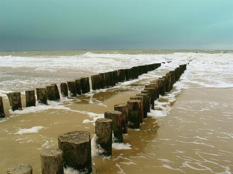 Westerschelde.