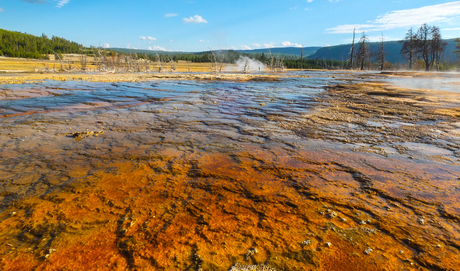 Yellowstone NP