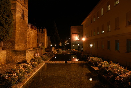 Cordoba by night