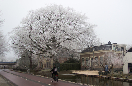 Winters Zoetermeer