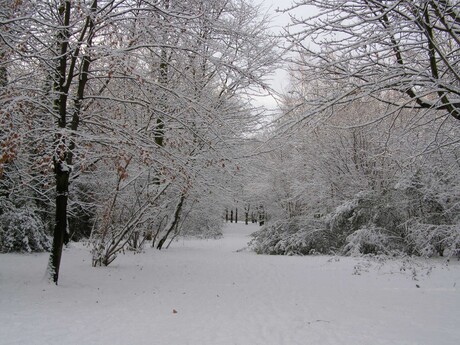 WINTER 2010