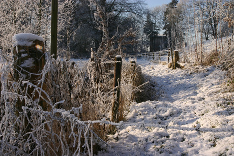 winter in de uiterwaarde