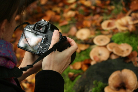 Door een lens zie je meer!