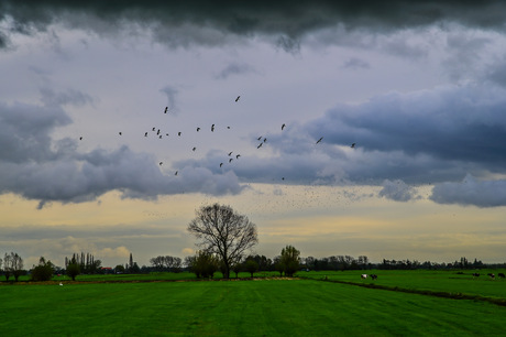 Wolkenpolder