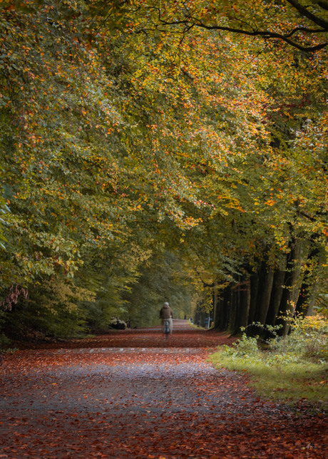 Ontspannen in de herfst