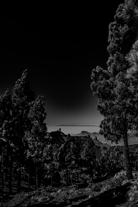 Natuur op Gran Canaria