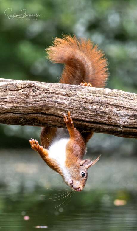 ℍ𝕒𝕧𝕖 𝕒 𝕟𝕚𝕔𝕖 𝕒𝕟𝕕 𝕣𝕖𝕝𝕒𝕩𝕚𝕟𝕘 𝕨𝕖𝕖𝕜𝕖𝕟𝕕! 🤎