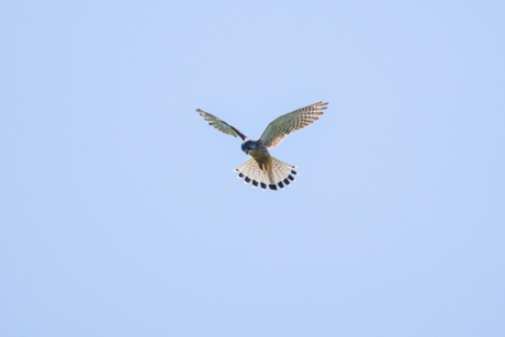 Bidden in de lucht