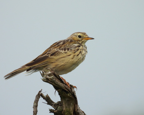 Een moment van aandacht