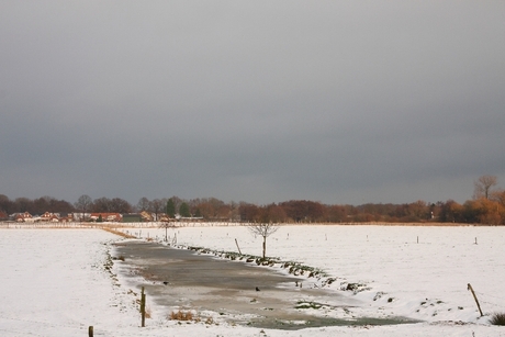 Winters landschap