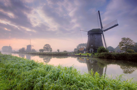 Mills in the mist