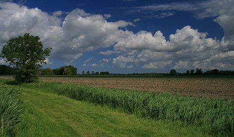 Lijkenlaantje