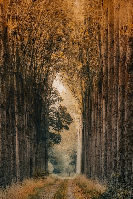 Alleen op de wereld...