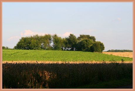 Zon-schaduw boven de Kollenberg