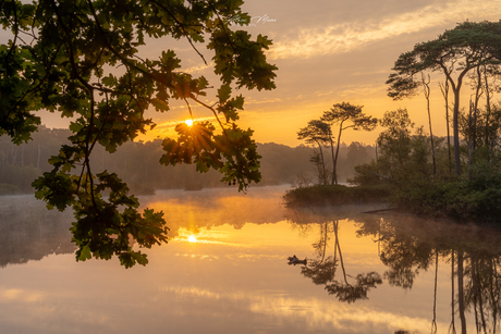 Zonsopgang