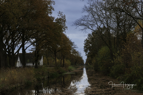 Landschap in herfstsfeer