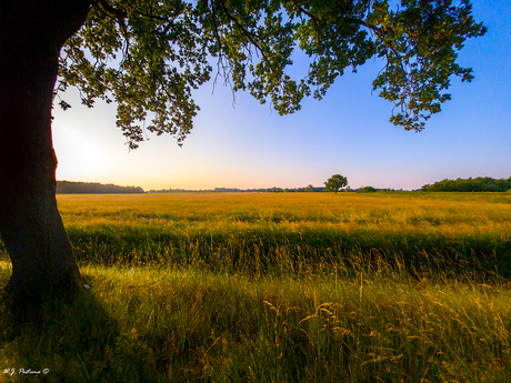 Landschap.