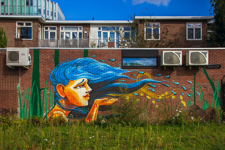 Achter Wonderwoods 1