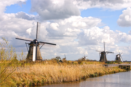Kinderdijk
