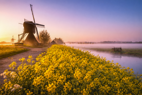 De Blokkerse wipmolen 