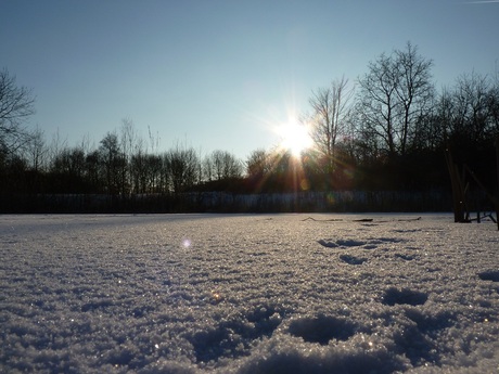 sunny snow day