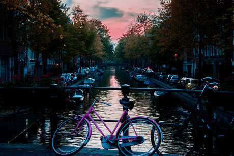 lovely amsterdam