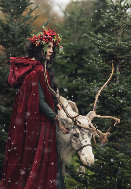 Kerstsfeer met rendier Rudolf