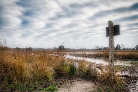 Kampina Boxtel