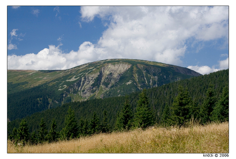 Czech Hillside